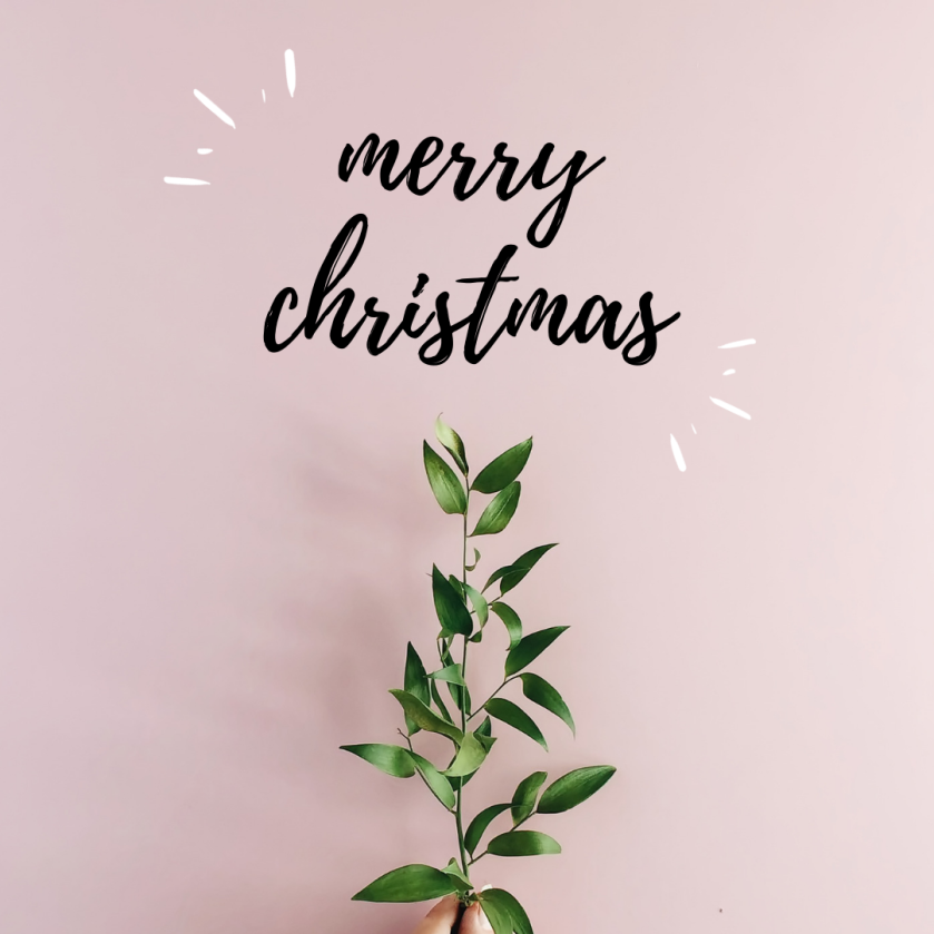 Merry Christmas 2018 from Artemisia Natural Therapies